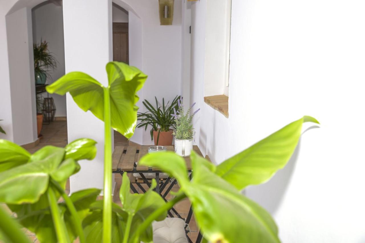 דירות וחר דה לה פרונטרה Casa Arbonaida מראה חיצוני תמונה